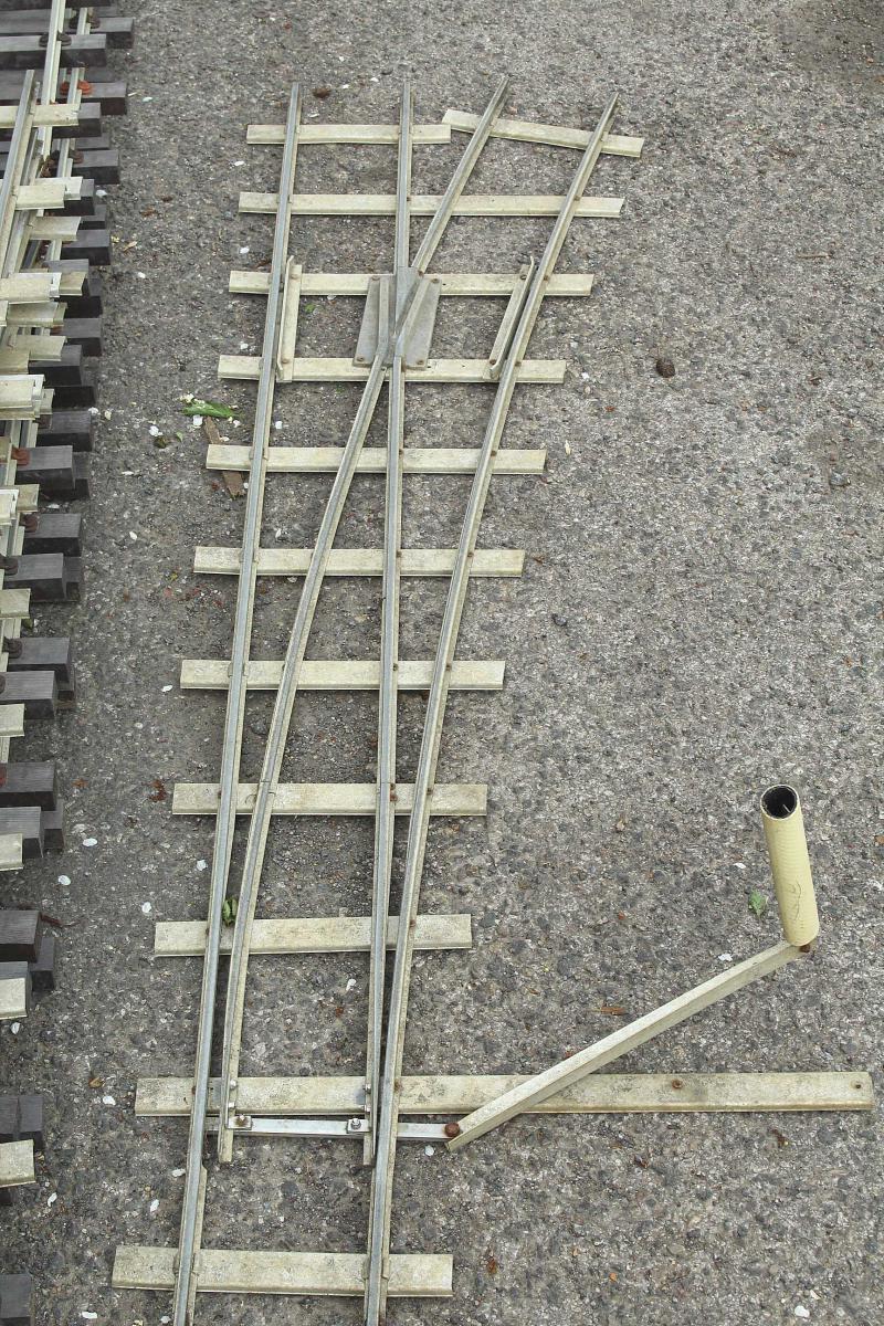 Large oval 5 inch gauge track with siding